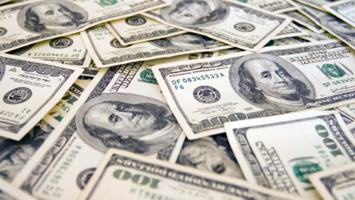DOLLAR LOANS AND LIABILITIES RISE ON FOREX MARKET WOES.